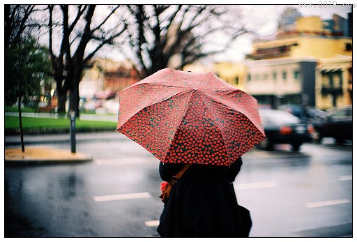 雨傘的英文怎么說？