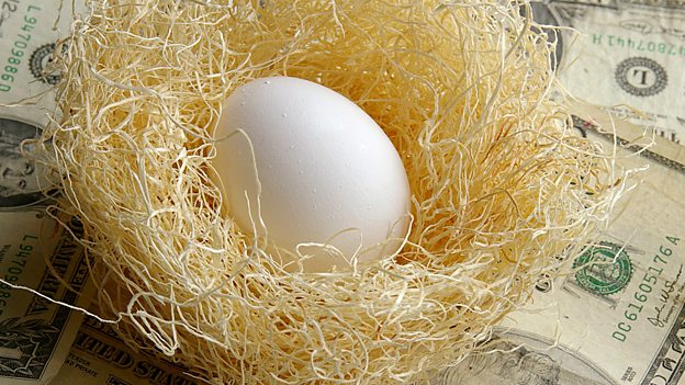 A nest egg 儲備金