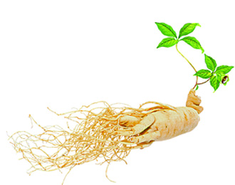 美語(yǔ)會(huì)話 72 get some Chinese ginseng 買中國(guó)人參