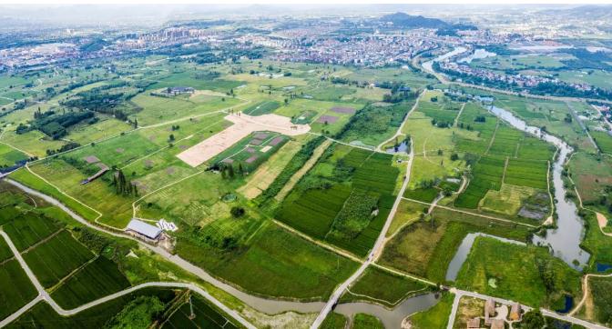 良渚古城遺址申遺成功 實(shí)證中華五千年文明史